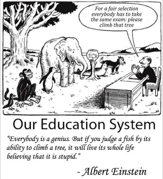 Einstein illustration